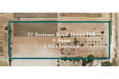 37 Scrivner Rd, Herne Hill, WA 6056