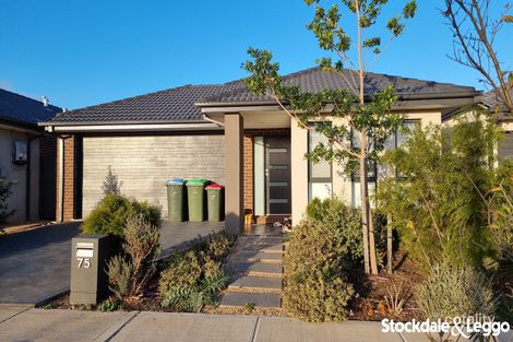 75 Grandvista Bvd, Werribee, VIC 3030