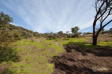Property photo of 24 Ritchie Avenue Blairgowrie VIC 3942