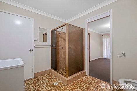 Property photo of 41 Shiraz Street Muswellbrook NSW 2333