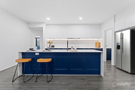 Property photo of 61 Neumann Drive Yarrabilba QLD 4207