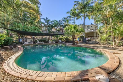 Property photo of 13/757 Ashmore Road Molendinar QLD 4214