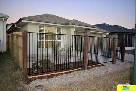 Property photo of 17 Pipet Crescent Pallara QLD 4110