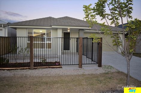 Property photo of 17 Pipet Crescent Pallara QLD 4110