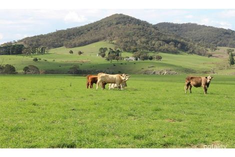 47 Red Springs Rd, Cullen Bullen, NSW 2790