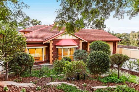 Property photo of 7 Chelmsford Avenue Mitcham SA 5062