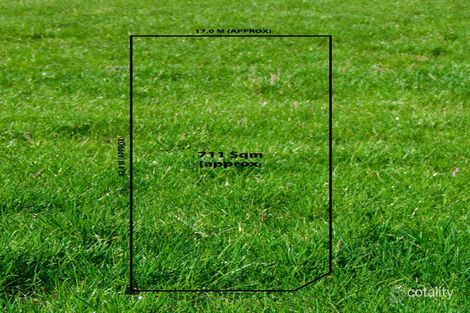 10 Victoria Ave, Glen Waverley, VIC 3150