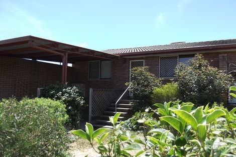 1/1 Cohen St, North Tamworth, NSW 2340