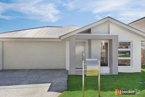 4 Hardwood St, Spring Mountain, QLD 4300
