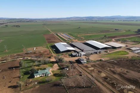 448 Nangar Rd, Canowindra, NSW 2804