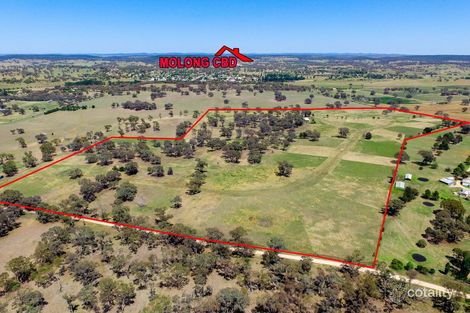 168 Euchareena Rd, Molong, NSW 2866