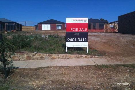 Property photo of 3 Lythrum Street Doreen VIC 3754