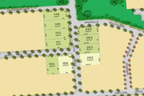 Property photo of 11 Olive Grove Two Wells SA 5501