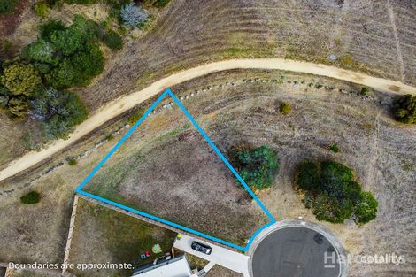 Property photo of 49 Lamprill Circle Herdsmans Cove TAS 7030