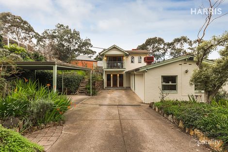 Property photo of 11 Myrtle Road Hawthorndene SA 5051