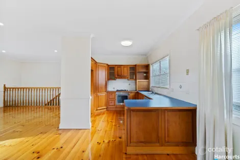 Property photo of 13 Dutton Street Hawthorne QLD 4171