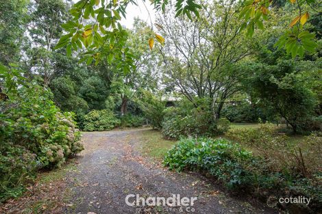 Property photo of 40 Seabreeze Avenue Ferny Creek VIC 3786