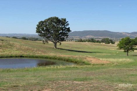 Property photo of 238 Broadhead Road Spring Flat NSW 2850