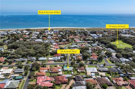 Property photo of 36 Avocet Boulevard Geographe WA 6280