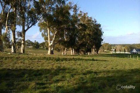 Property photo of 41 Emu Rise Road Keith SA 5267
