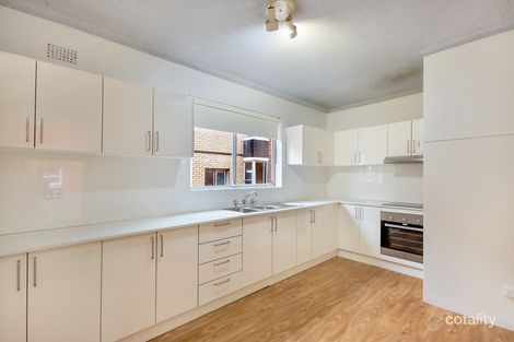Property photo of 3/23 Blenheim Street Randwick NSW 2031