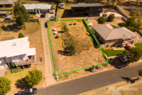 25 Lou Fisher Pl, Muswellbrook, NSW 2333