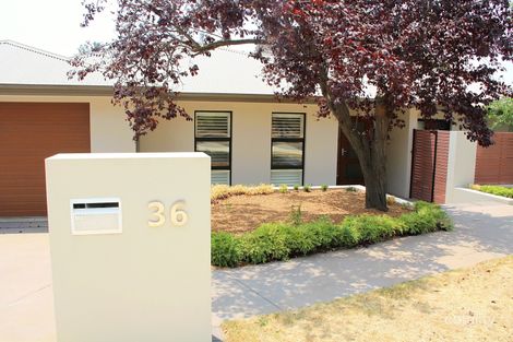 Property photo of 36 Robertson Street Curtin ACT 2605