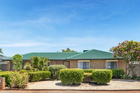 Property photo of 39 Balmoral Circuit Blakeview SA 5114