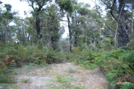 299 Badger Head Rd, Badger Head, TAS 7270