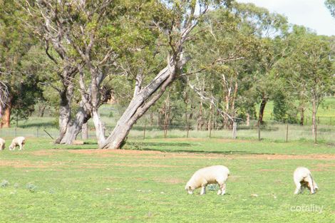 Property photo of 2039 Coonabarabran Road Caroona NSW 2343