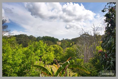 Property photo of 53 Crescent Road Eumundi QLD 4562