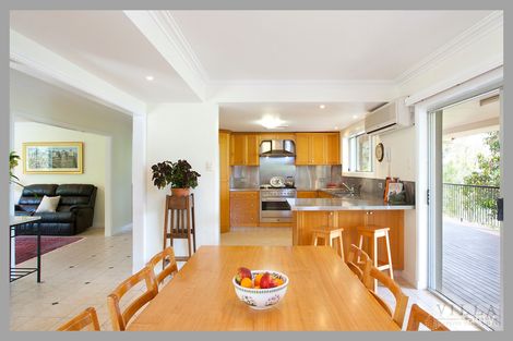 Property photo of 53 Crescent Road Eumundi QLD 4562