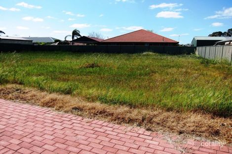 29 Maple Ave, Nuriootpa, SA 5355