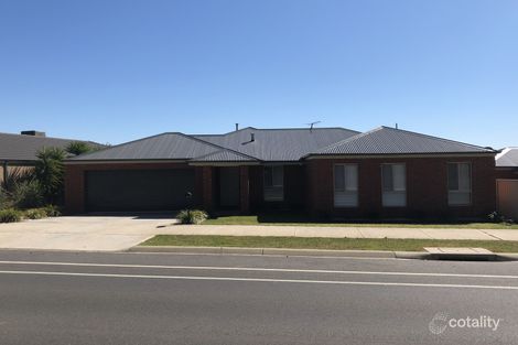 132 Drage Rd, West Wodonga, VIC 3690