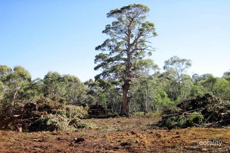 Property photo of 4 Arthurs Lake Road Arthurs Lake TAS 7030