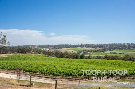 Property photo of 61 McRae Wood Road Stanley Flat SA 5453