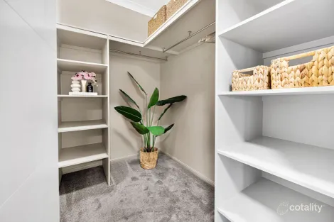 Property photo of 52 Mannikin Way Bohle Plains QLD 4817