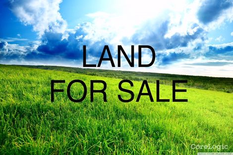 Property photo of 10 Watervale Circuit Chisholm NSW 2322