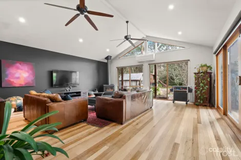 Property photo of 243 Humevale Road Humevale VIC 3757