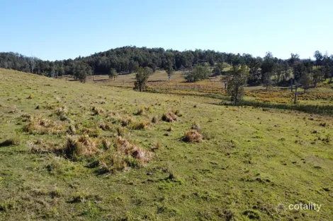 233 Sextonville Rd, Doubtful Creek, NSW 2470