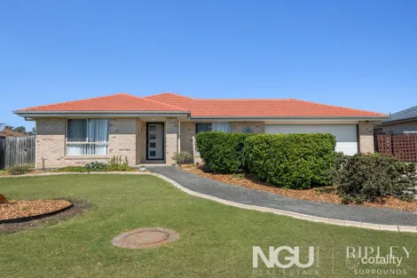 Property photo of 35 Denning Street Fernvale QLD 4306