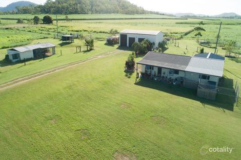 341 Mount Ossa-Seaforth Rd, Mount Ossa, QLD 4741
