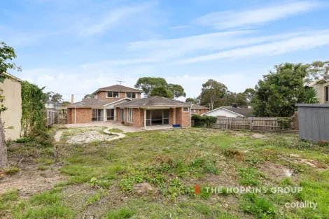 Property photo of 1 Morrison Court Mount Waverley VIC 3149