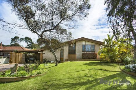 70 Davies Cres, Kardinya, WA 6163