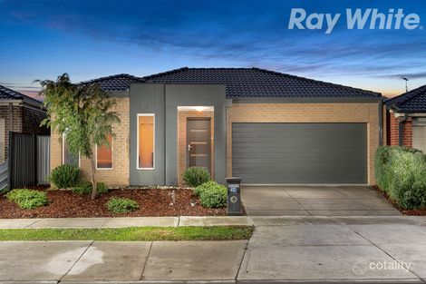 Property photo of 34 Blaimore Way Mernda VIC 3754