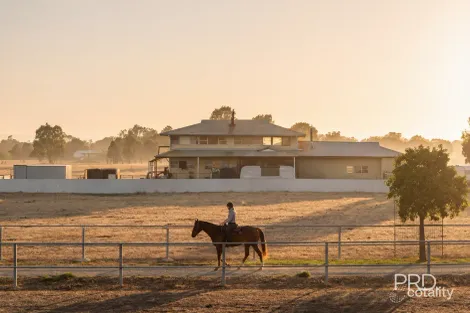 92 Edward St W, Moorong, NSW 2650
