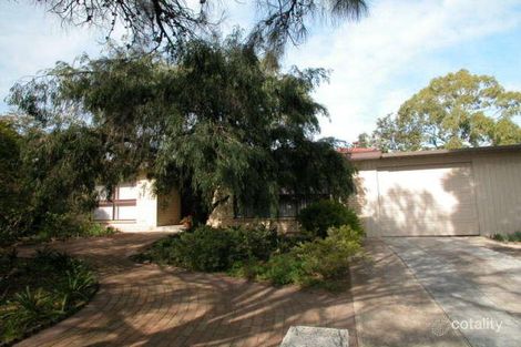 Property photo of 19 Casuarina Avenue Surrey Downs SA 5126
