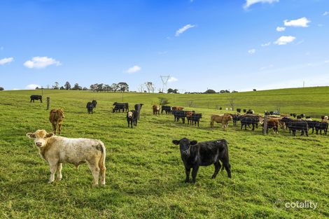 Property photo of 409 Tyringham Road Dorrigo NSW 2453