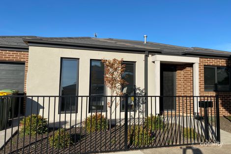 Property photo of 42 Stephen Street Belmont VIC 3216