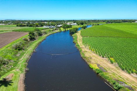 Property photo of 90 Meadowlands Road Racecourse QLD 4740